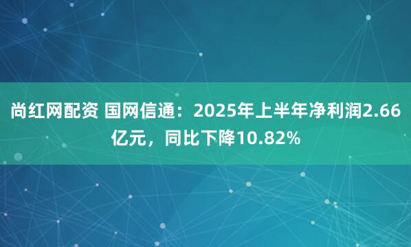 尚红网配资 国网信通：2025年上半年净利润2.66亿元，同比下降10.82%