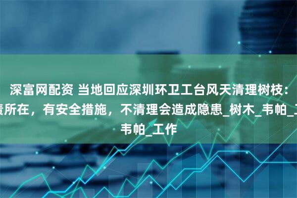 深富网配资 当地回应深圳环卫工台风天清理树枝：职责所在，有安全措施，不清理会造成隐患_树木_韦帕_工作