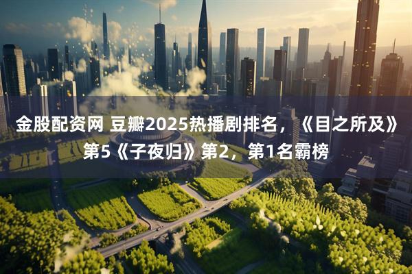 金股配资网 豆瓣2025热播剧排名，《目之所及》第5《子夜归》第2，第1名霸榜