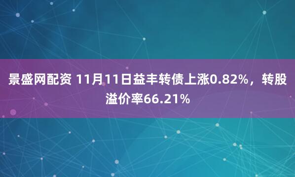 景盛网配资 11月11日益丰转债上涨0.82%，转股溢价率66.21%
